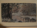 Winter aan de beek